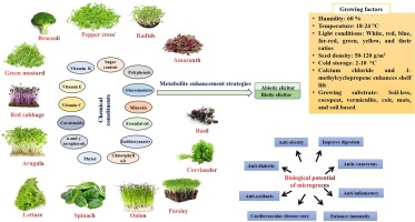 1 s2.0 s1756464623002979 ga1