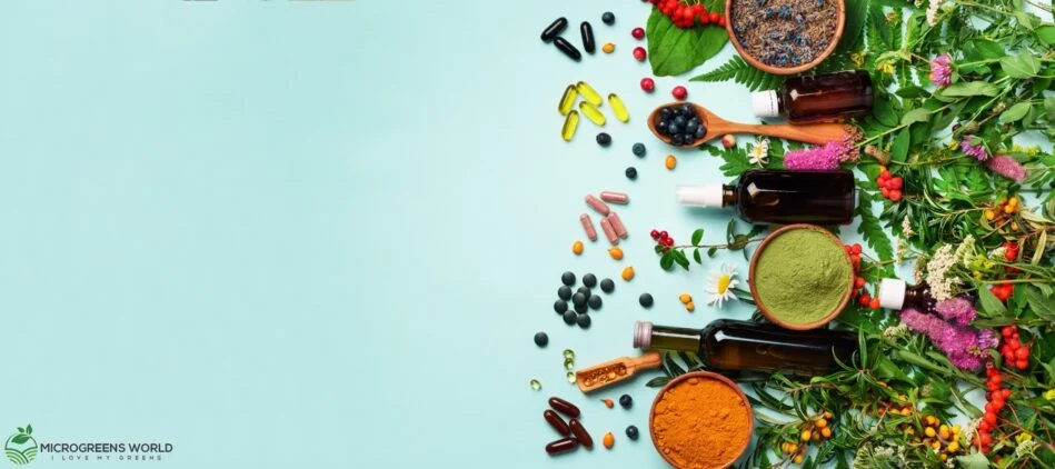 food as medicine 949x422