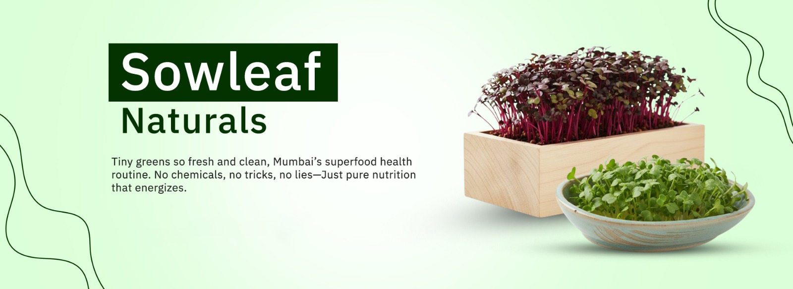 whatsapp image 2025 11 17 at 15.29.17.jpeg