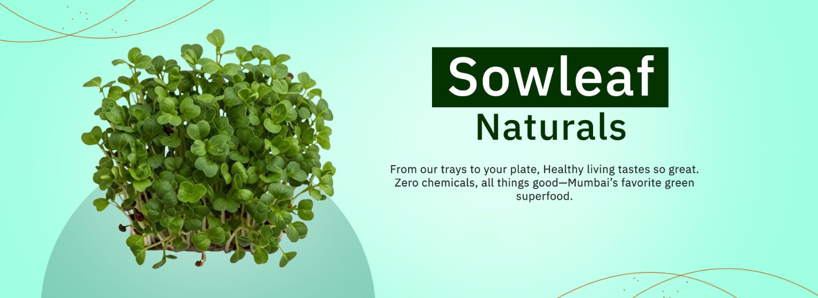 whatsapp image 2025 11 17 at 15.44.49.jpeg